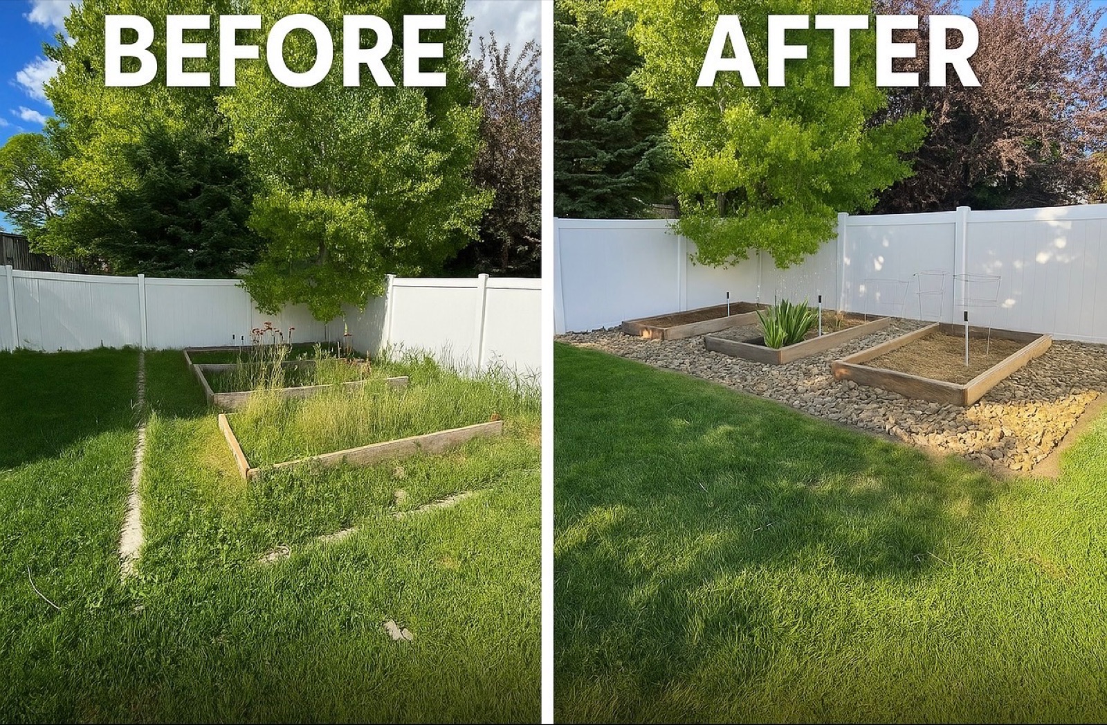 Backyard before and after — overgrown grass turned into clean garden beds with rock borders